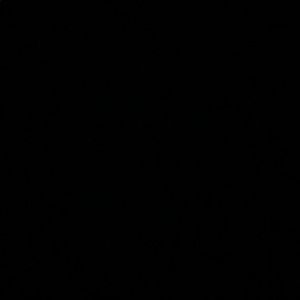 Meet your Posher, Felecia